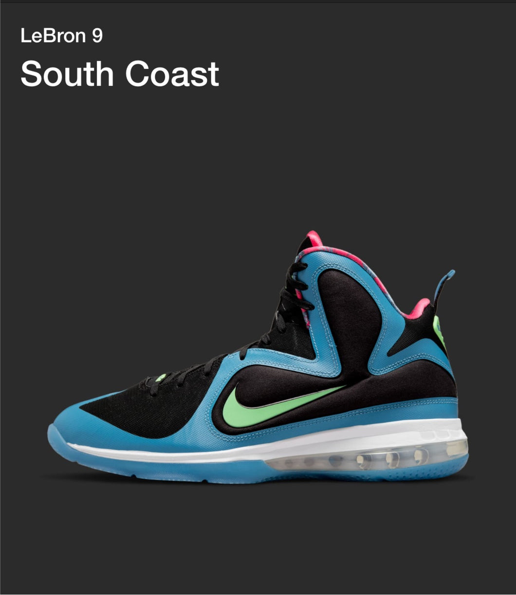 Nike Lebron 9 “South Coast” size 10